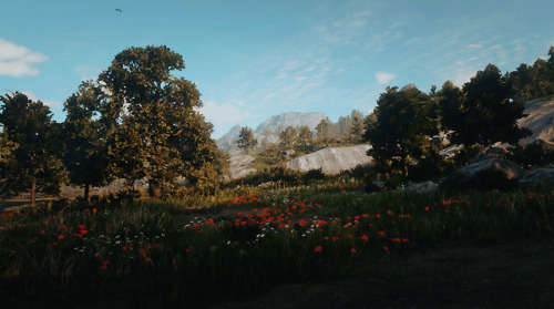 amaurealavellan: red dead redemption 2 - scenery (4/4)