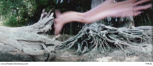 devantetderriere:FREDERIC FONTENOY - Metamorphosis 1989“It was like dancing, 2-3 seconds in front of