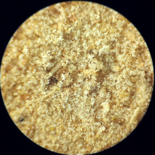 Ground ginger real close up. ~Spices real close up series, click here for more~