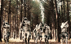 mamavalkyrie:  frostingpeetaswounds: It was my arrow, aimed at the chink in the force