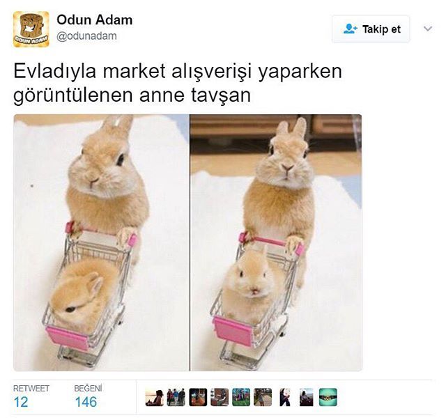 Evladıyla market...