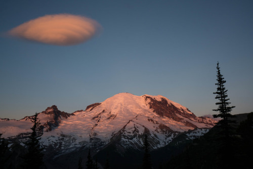 90377:  Mount Rainier at sunrise by Lianne Morgan  