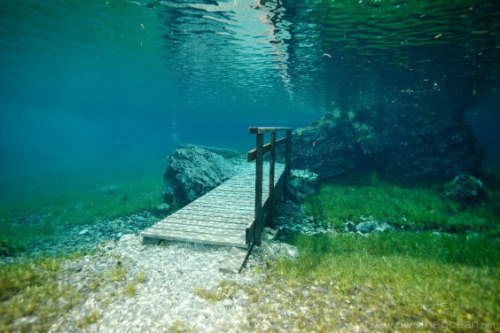 popfactory:  GREEN LAKE in Austria Grüner See (Green Lake) is a lake in Styria, Austria near the town of Tragöß. The lake is surrounded by the Hochschwab mountains and forests. The name “Green Lake” originated because of its emerald green