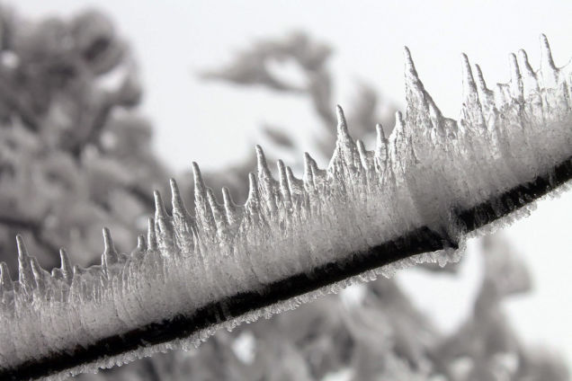 sixpenceee:  Rapidly sinking temperatures in Hungary caused a fog to freeze on top