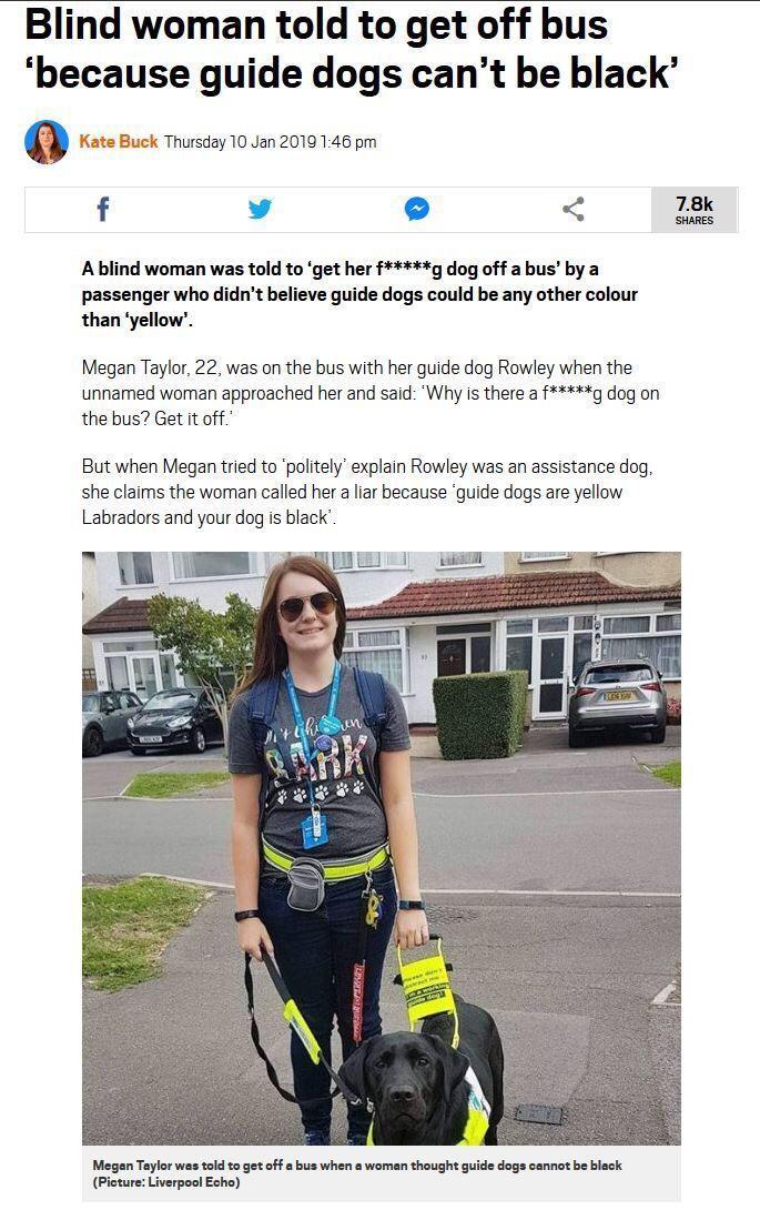 momo-de-avis: doggos-with-jobs:  Look how sad he is  We did it, white people found