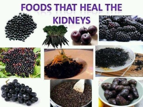 In the winter, eating naturally black or dark blue foods nourishes the Kidney meridian. Naturally sa