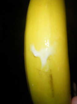 bestialityprincess:  I normally use bananas and put them back for my family to eat. It turns me on knowing that they are unknowingly smelling and eating my pussy on it. This time i decided to eat it :) But if alot of people reblog this ill make a video