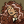 mpekamitzii:Tfw your shapeshifter friend forgets how to turn back into a human and