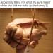 justanotherhungrydom:
