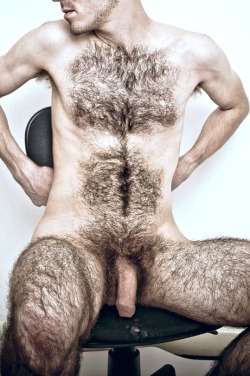 Hairy GAY