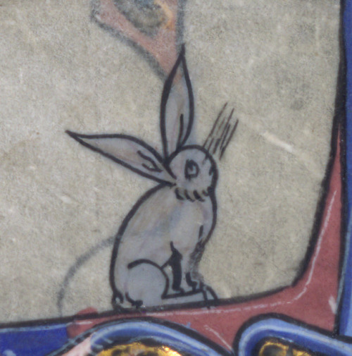 discardingimages:snailfight and an indifferent rabbitbook of hours, Flanders 14th centuryWalters Art