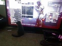 He likes to watch me play battlefield. Sometimes