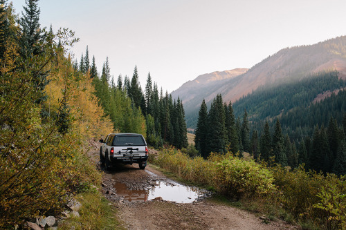 Near Ophir Pass back in September.