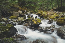 travelthisworld:Olympic National Forest, WA submitted by: kelliejanis, thanks!