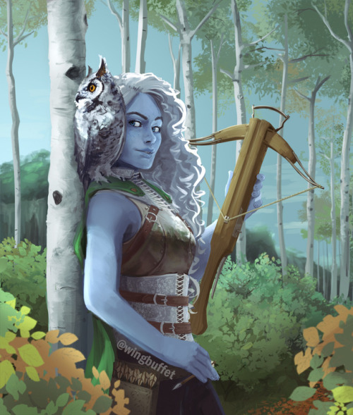 wingbuffet - Zephra, Air Genasi Rogue/Ranger & her owl...