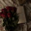 the-alley-to-the-rose