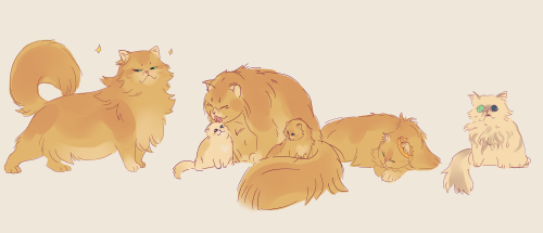 francy-sketches: Could not stop thinking about persian cat lannisters bc of this ask I got so I drew