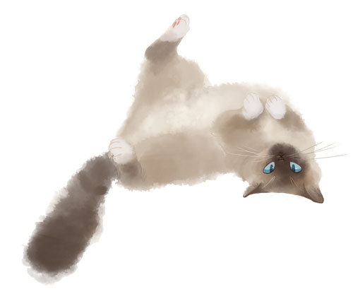 rozenn-blog:Cat’s commissions from my facebook ;)(commissions are closed for the moment !)Indy