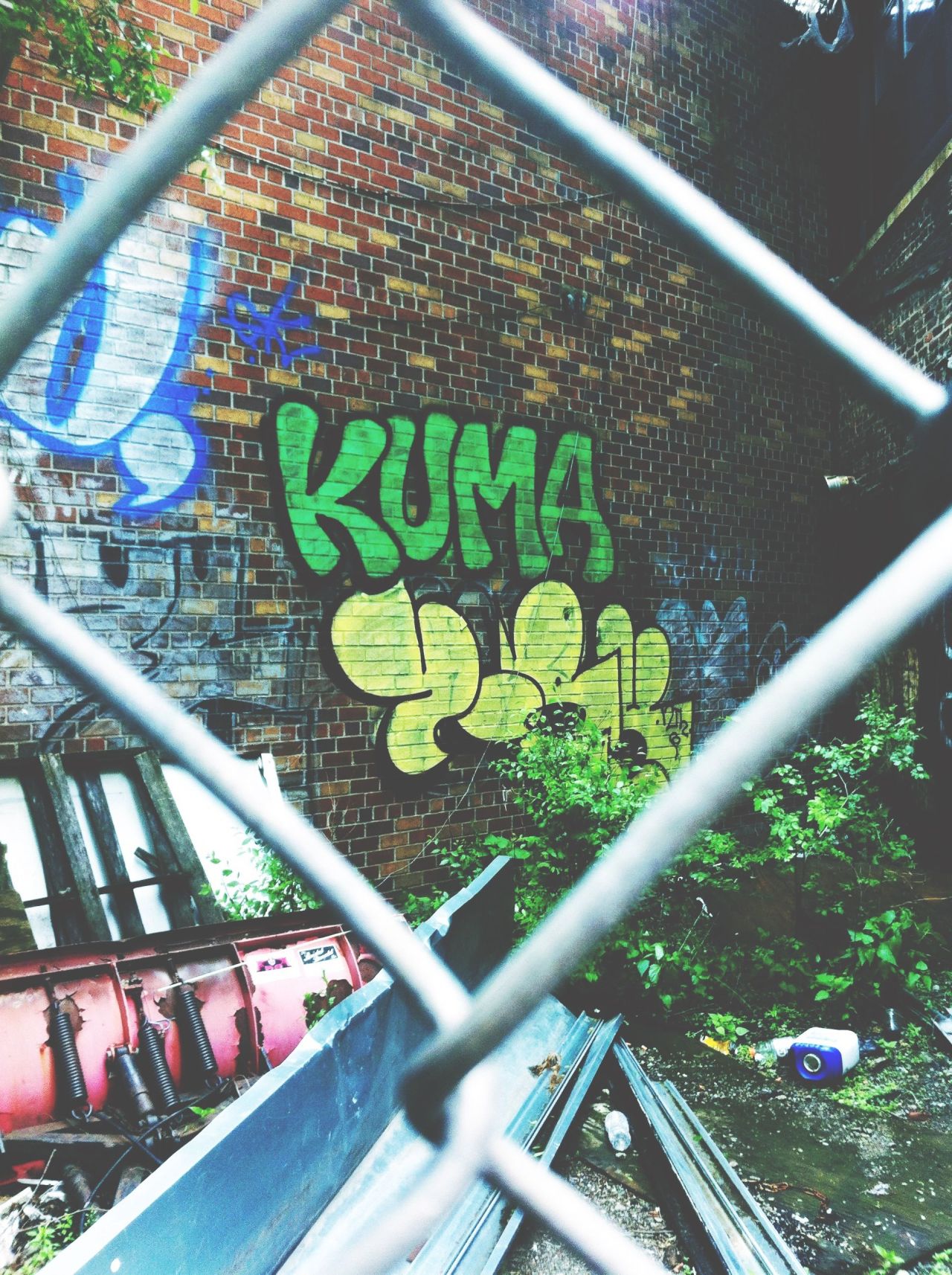 inselfwetrust:  Kuma York 