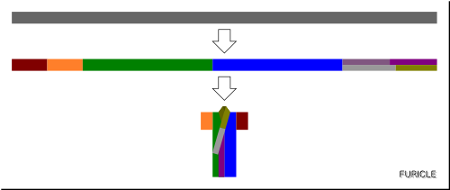iki-mono:A simple diagram of how a bolt of kimono (or yukata) cloth is cut to form the different par