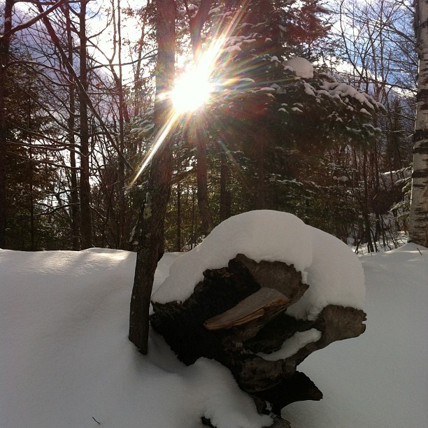 Snowshoe Bliss #upnorth #tremblant #forest #snowlove (at domaine st bernard)