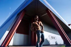 Adonis Files