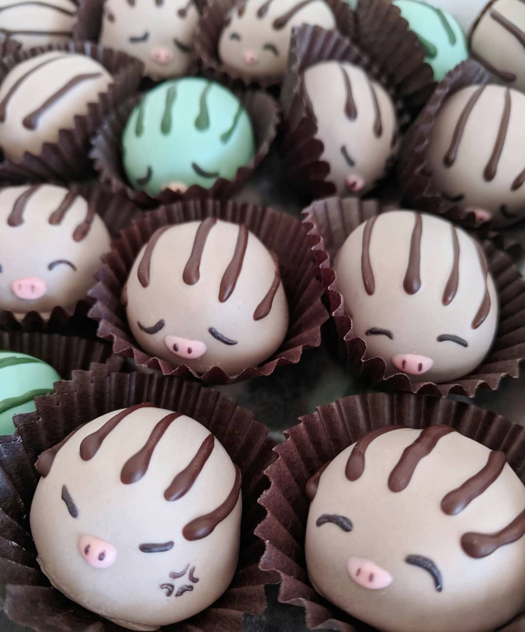 miscellaneousmao:    Swinub chocolate truffles: homemade chocolate cake and ganache