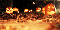 thewitches-lovenest: