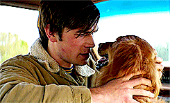 A Dogs Purpose (2017)