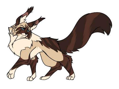 featherheartwarriors:Design refinement featuring Tigerstar’s bastard children