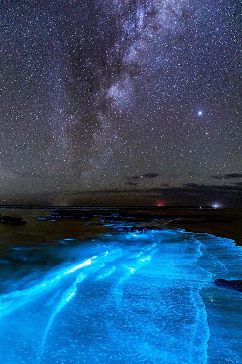 lsleofskye:  Bioluminescence | jordan_robinsLocation: Jervis Bay, Australia   Hooooooly shhhhhhhiiiiiiiiiiiiit 😳 