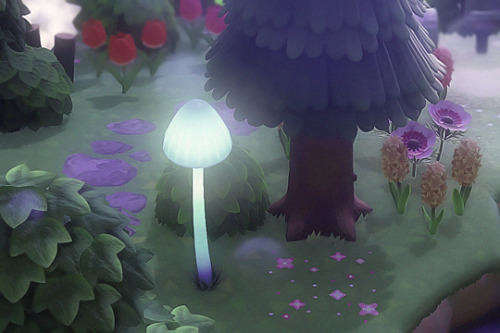 muru-crossing:Enchanted Forest of Mochimoon ✨