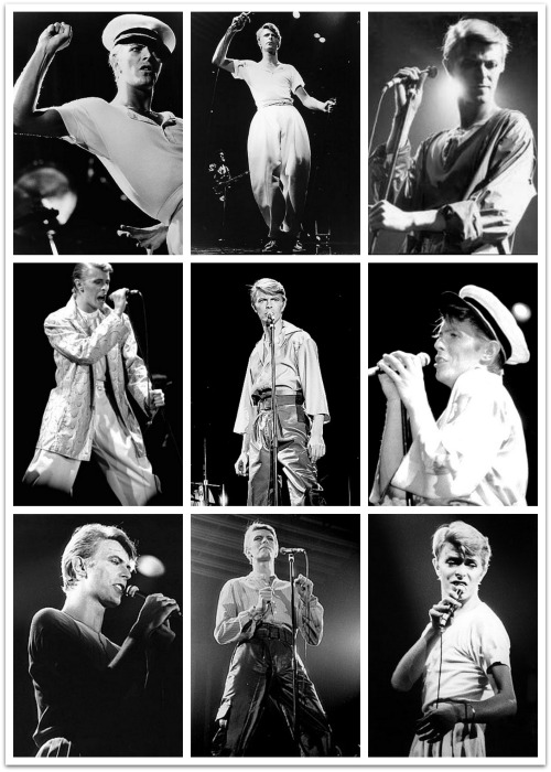 the-bowieologist: As 1,978 of you are following The Bowieologist now, here are a few shots from 1978