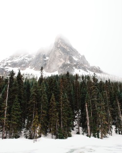 photosbygriffin:Late May in the Pacific Northwest.