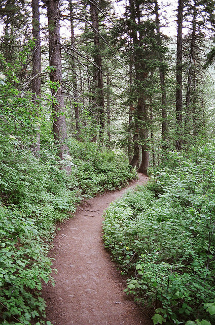 voodoomommajuju:  Glass by α RAINYNEPTUNUS ω on Flickr. 