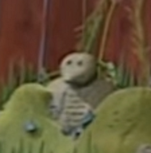 yeffyaboyuice:mortysmithsanchez:are those skeletal remains in nana’s backyard