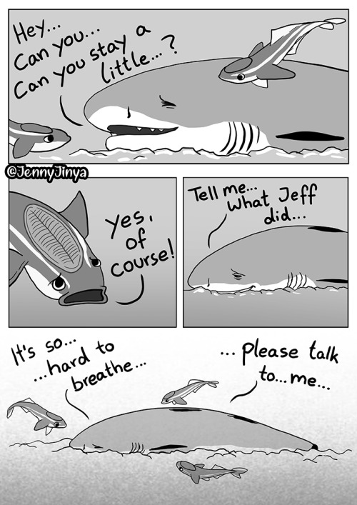 coffee-latte-sprite:I am really happy that other people are getting the word out on sharks. Everyone