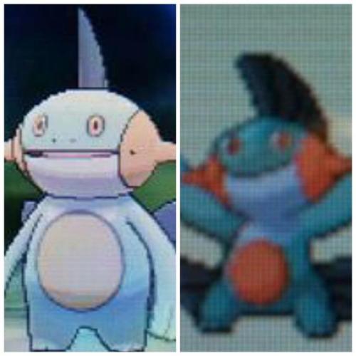 zwampert:  the-velveteen-buneary:  cianm3rry:  lucariolis:  kotakucom:  A few Japanese internet-goers noticed that Marshtomp, the second member of Mudkip’s evolution family, looked a bit goofy in the new Pokémon remakes. So, obviously, a meme ensued.