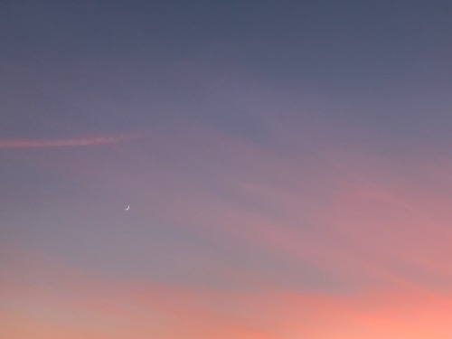 milkycelestials: celestial 