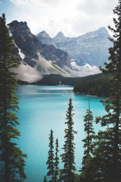 teapalm:  (Tasha Marie) | Lake Moraine