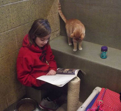 archiemcphee: We already know that reading is awesome, but today we learned that cats enjoy reading 