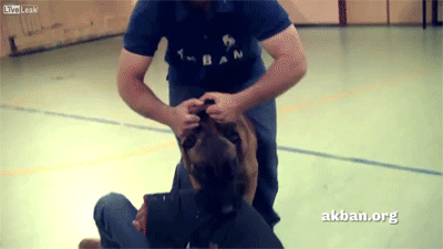 southernbitchface:  naturepunk:putyourdreamstobed: onlylolgifs:  video  Can we just talk about how useful this is but also how happy that dog is to be teaching us something. Look at that tail wag. Thank you puppy.   This dog is a not just any dog - it’s