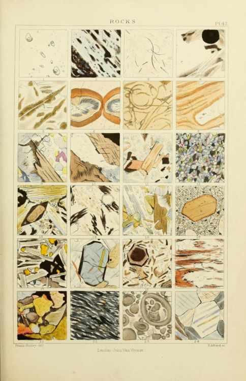 Plate 42. Rocks. The micrographic dictionary, a guide to the examination and investigation of the st