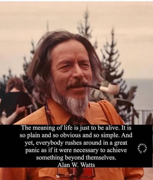 https://lifeunexpurgated.tumblr.com/post/172949941249
