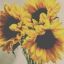 sunandmystars