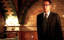 sarahchucksaleh:Finch reacting to Rootbonus