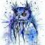 indigo-morepork-butterfly