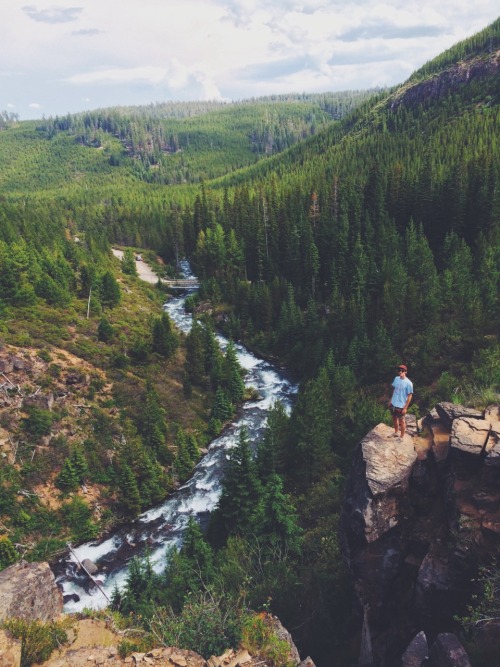 ccllaannccyy:  Oregon is amazing.