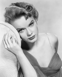 allthroughthenightb:  Anne Francis.