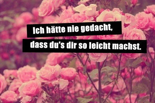 wir wollen fliegen doch fallen tief
